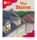 THE STORM