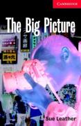 THE BIG PICTURE